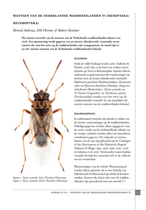 dik hermes entomologie|Wantsen van de Nederlandse Waddeneilanden VI (Hemiptera: .